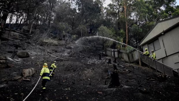 Avstraliyada meşə yanğınları tüğyan edir