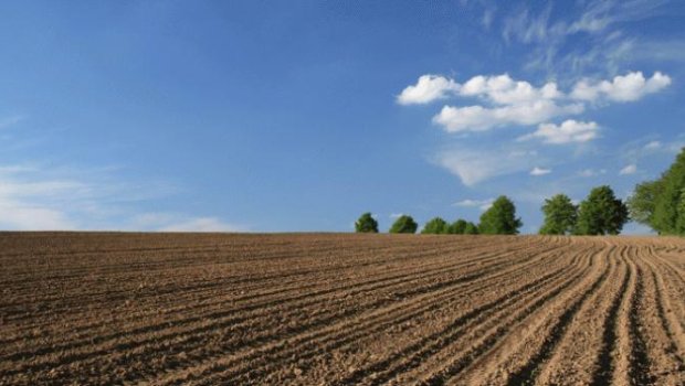 Havaların quraq keçməsi Şəkidə əkin sahələrinə necə təsir edir? - FOTO
