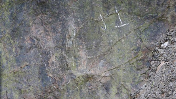 Çində 200 milyon illik dinozavr izləri tapıldı &ndash; FOTO