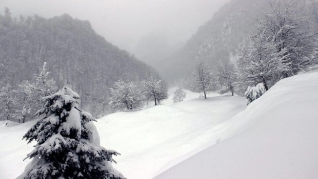 Bu rayonlara qar yağır - FAKTİKİ HAVA