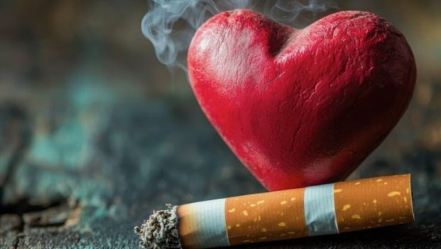 Alimlər siqaretlə bağlı məşhur mifi puç etdilər