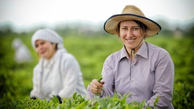 Fermerlərə ŞAD XƏBƏR &ndash; Bu metodla xəstəlik və zərərverici riskləri əvvəlcədən görmək mümkündür