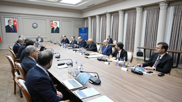 İqtisadi Şura və İnvestisiya Holdinqinin Müşahidə Şurasının birgə iclası keçirildi - FOTO