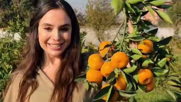 Leyla Əliyeva Lənkəran səfərindən PAYLAŞIM ETDİ &ndash; VİDEO