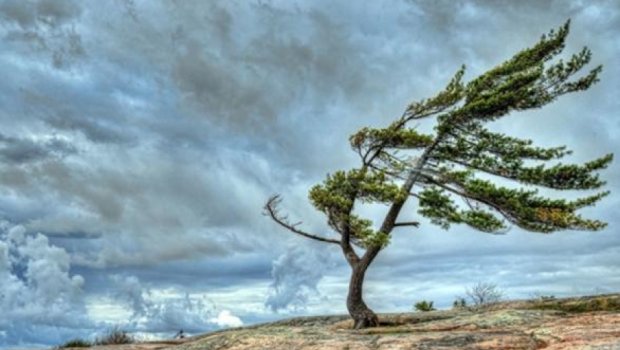 Bölgələrdə külək güclənib - FAKTİKİ HAVA