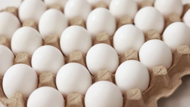 Azərbaycanda broyler yumurtaları BAHALAŞDI &ndash; VİDEO