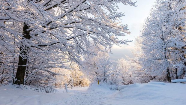 Azərbaycana qış fəslinin daxil olacağı tarix AÇIQLANDI