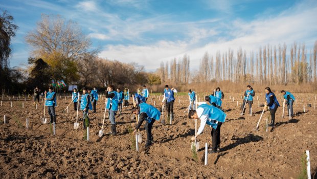 IDEA Sabirabad və Cəlilabadda kütləvi ağacəkmə aksiyaları təşkil etdi &ndash; FOTO