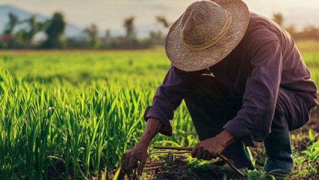 &ldquo;Məzunların bölgələrdə çalışması üçün yeni proqram hazırlana bilər&rdquo; &ndash; Deputatdan TƏKLİF