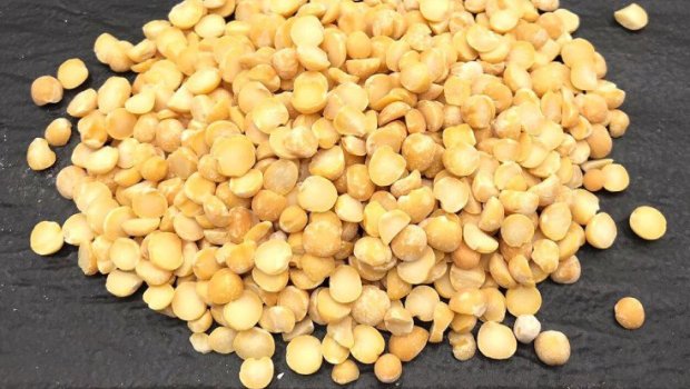 Bu qida ağciyəri TƏMİZLƏYİR