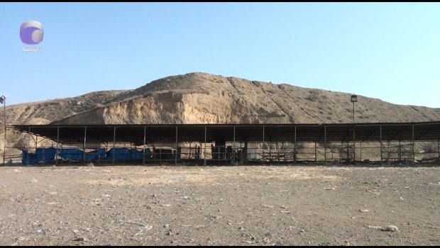 Tovuzda heyvan bazarı nə vaxt açılacaq? &mdash; VİDEO