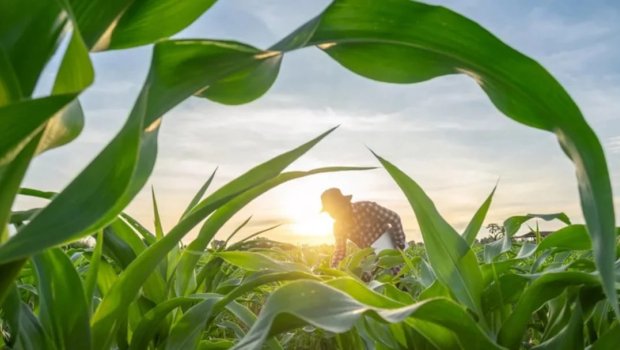 Dünyada yalnız bir ölkə özünü ərzaqla tam təmin edir