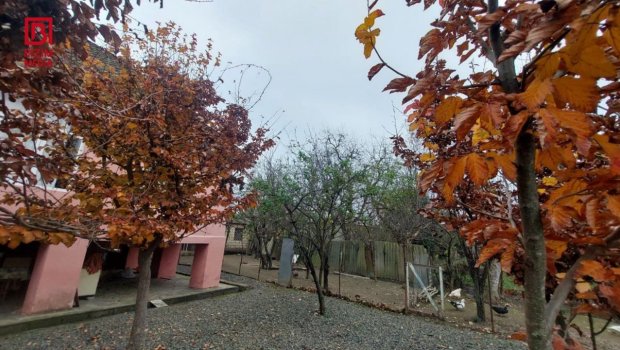 Lənkəranda qeyri-adi təbiət hadisəsi &ndash; FOTO