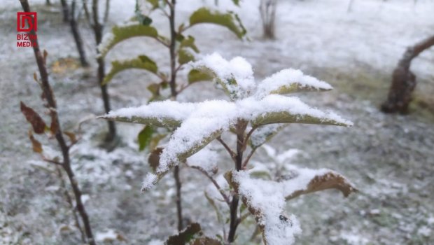 Şimal-Qərb bölgəsində ilk qar &ndash; FOTO