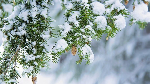 Hava KƏSKİN DƏYİŞİR &ndash; Külək güclənəcək, qar yağacaq