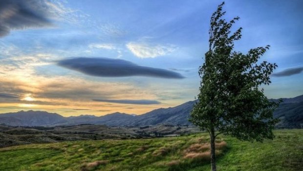 Küləkli hava ilə bağlı bölgələrdə SARI XƏBƏRDARLIQ verildi