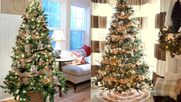 Allergiyası olanlar &ldquo;Yolka&rdquo;dan uzaq dursunlar &ndash; Həkimdən təhlükəsi barədə XƏBƏRDARLIQ