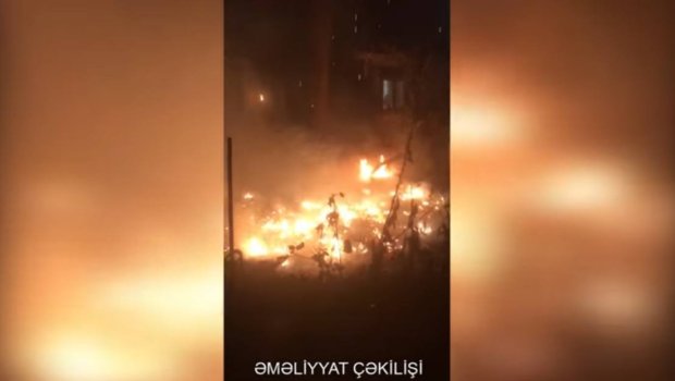 Bakıda ağaclıq sahədə YANĞIN OLUB - VİDEO
