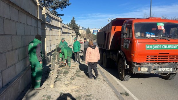 Bakıda güclü küləyin törətdiyi FƏSADLAR &ndash; FOTO