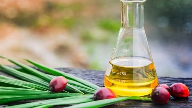 Azərbaycana nə qədər palma yağı gətirilib?