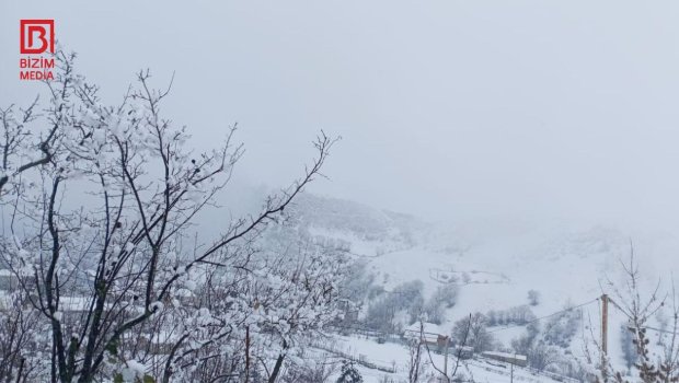 Cəlilabadın bu kəndləri &ldquo;ağ örpəyə&rdquo; BÜRÜNDÜ - FOTO