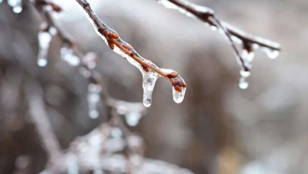 Külək güclənəcək, şaxta olacaq &ndash; SABAHIN HAVASI