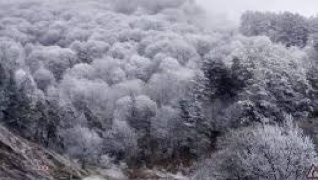 Qədim Azərbaycan kəndində 37 dərəcə şaxta qeydə alınıb