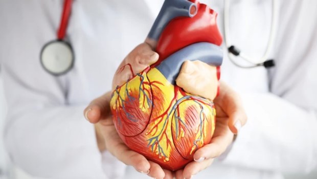 Şəhərdə yaşayanların DİQQƏTİNƏ: Bu səbəbdən ürək xəstəlikləri və piylənmə riskiniz var