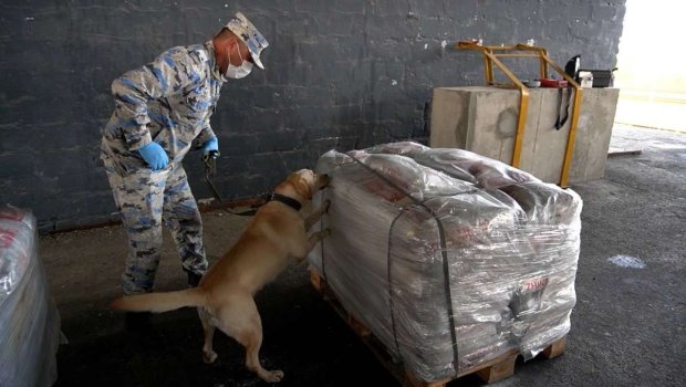 Azərbaycanda 2 tona yaxın narkotik qanunsuz dövriyyədən çıxarılıb &ndash; RƏSMİ