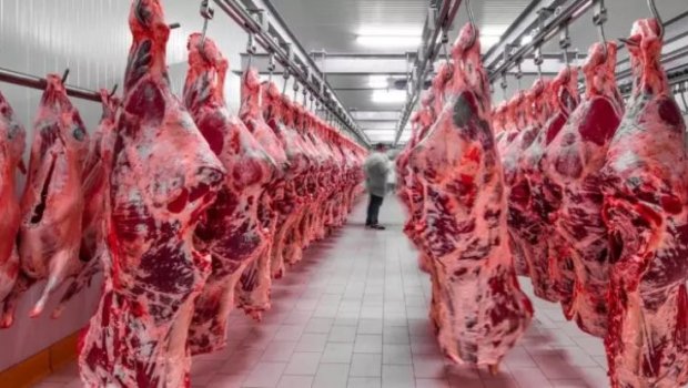 Azərbaycanda bu ölkələrdən gətirilən ətlər satılır - SİYAHI