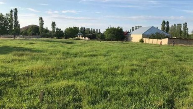 Bakıda torpaq sahələri bahalaşdı - VİDEO