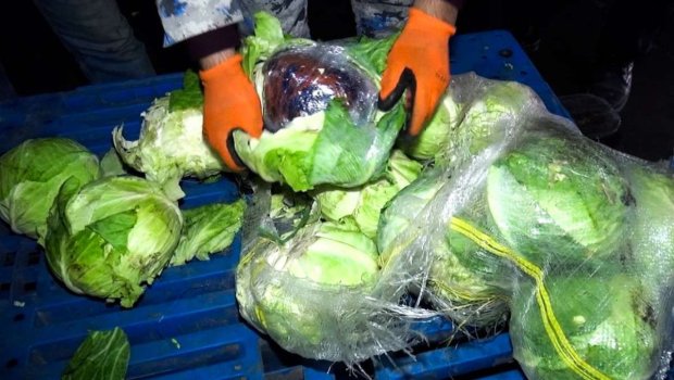 Gömrükdə ƏMƏLİYYAT: &ldquo;Kələm&rdquo; yükündən narkotik aşkarlandı - FOTO