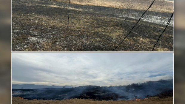 Xocalıda yanğına səbəb olan şəxs SAXLANILDI
