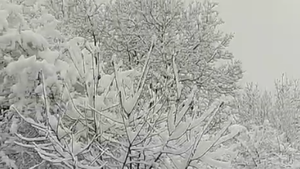 Qaxda qarın hündürlüyü 45 sm-ə çatdı &ndash; VİDEO