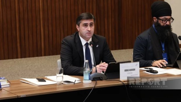 Abbas Abbasov: &ldquo;Bugünkü konfrans zikhlərin üzləşdiyi qətliamları, vəhşilikləri göstərəcək&rdquo;