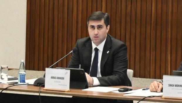 Abbas Abbasov: &ldquo;Bugünkü konfrans zikhlərin üzləşdiyi qətliamları, vəhşilikləri göstərəcək&rdquo;