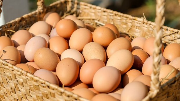 Dünyada ən çox yumurta istehlak edən ölkələr AÇIQLANDI