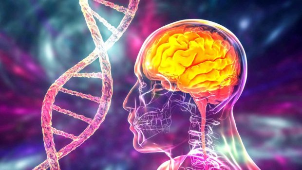 Alzheimer xəstəliyinin müalicəsində İNQİLAB