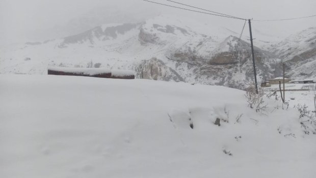 Ölkənin şimalına bu gecə qar yağıb - FOTO