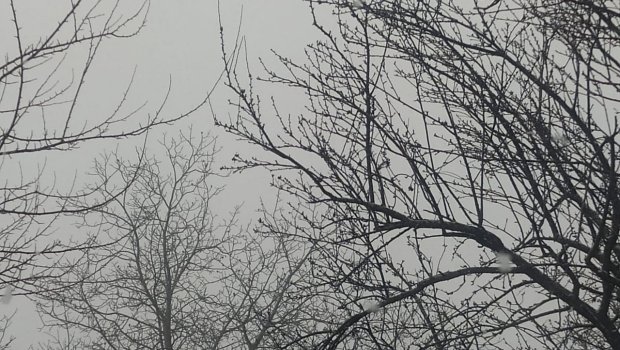 Bu bölgəmizə də qar yağır - FOTO/VİDEO