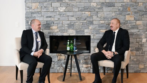 İlham Əliyev Davosda Danimarka şirkətinin baş vitse-prezidenti ilə görüşdü - FOTO