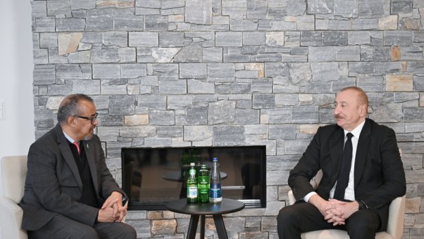 Prezident Davosda ÜST-nin Baş direktoru ilə görüşdü - FOTO