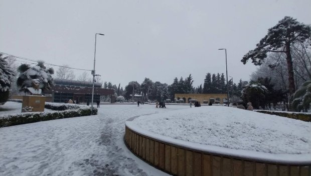 Biləsuvara mövsümün ilk qarı yağdı - FOTO