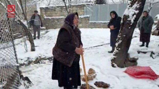 Şəkidə onlarla ailə TƏHLÜKƏ qarşısında - Ev quşlarının qənimi tapılacaqmı? &ndash; FOTO/VİDEO