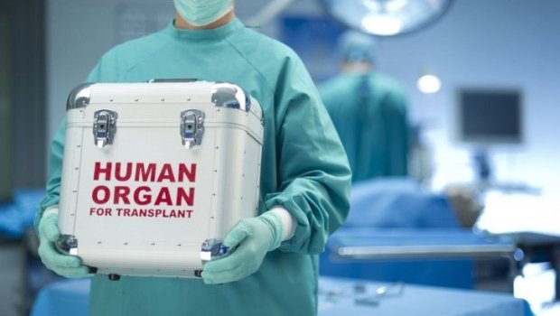 Azərbaycanda robotik böyrək transplantasiyası HƏYATA KEÇİRİLƏCƏK