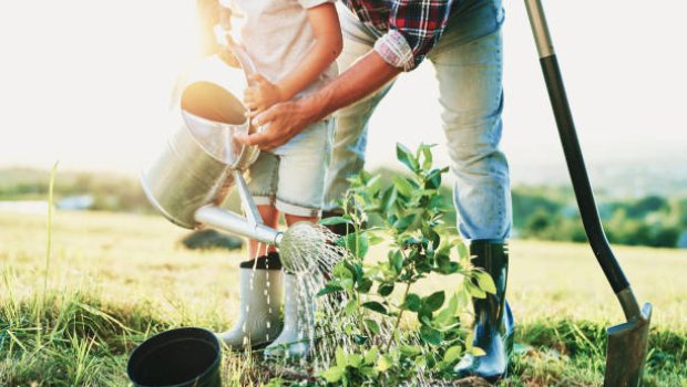 Bitkiçilik məhsullarında pestisid qalıqlarının aşkar edilməsinə dair XƏBƏRDARLIQ