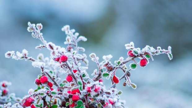 Sabah hava necə olacaq? &ndash; PROQNOZ