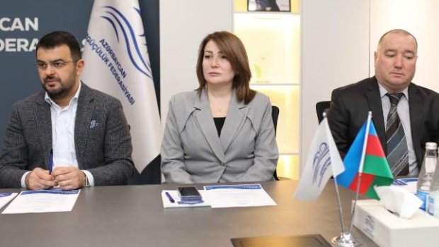 Azərbaycan Üzgüçülük Federasiyasında yeni vitse-prezident SEÇİLDİ - FOTO