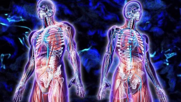 İnsanın gücü neçə yaşından azalmağa başlayır?