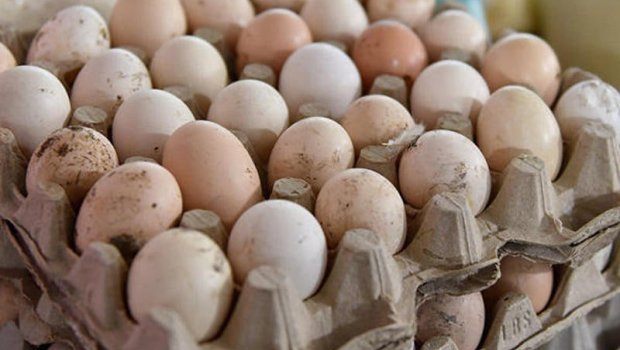 Marketlərin HİYLƏSİ - Kənd yumurtası adı altında TƏHLÜKƏ satılır